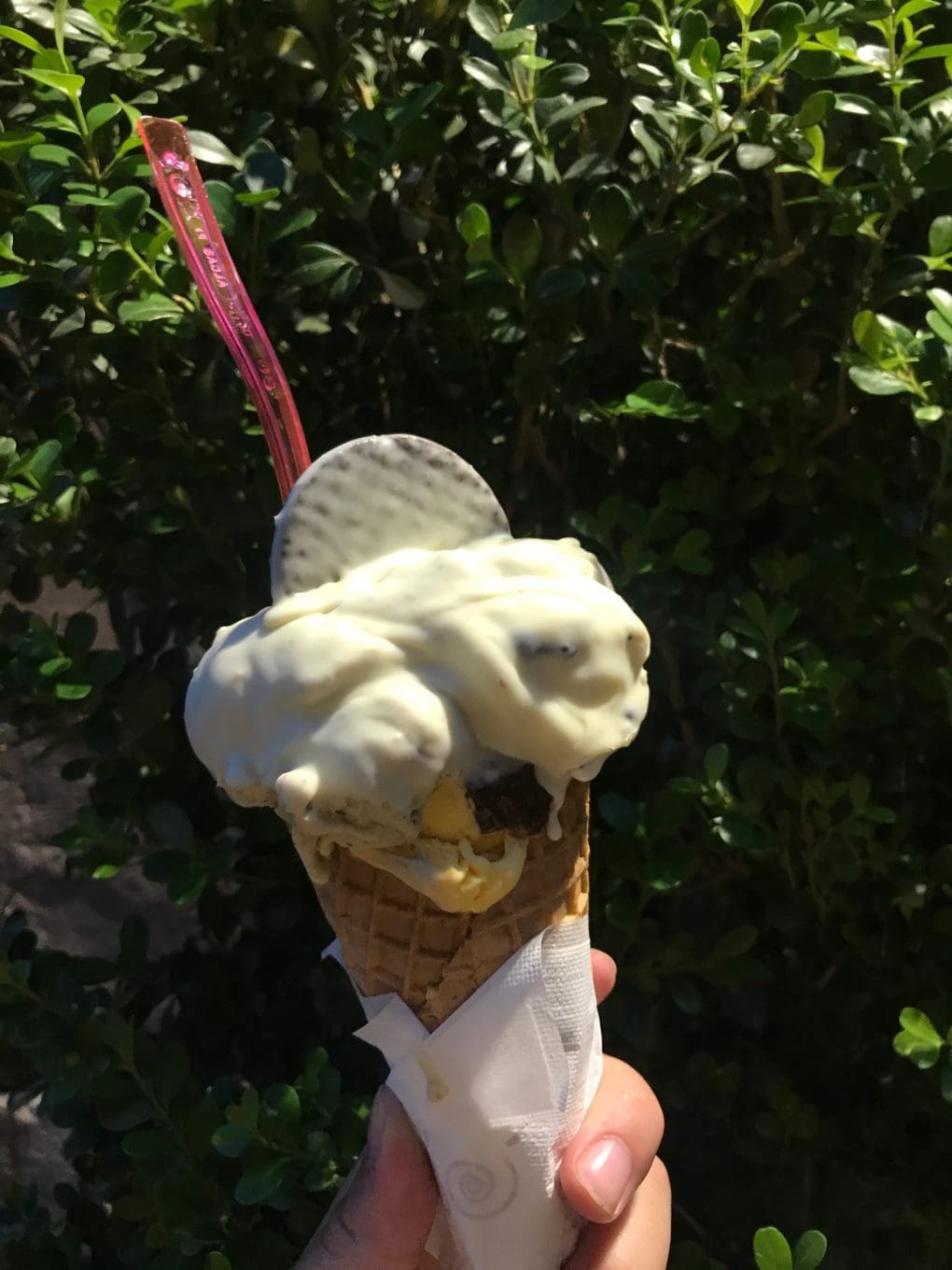 image of ang around the globe ice cream cone at gelateria frigidarium rome