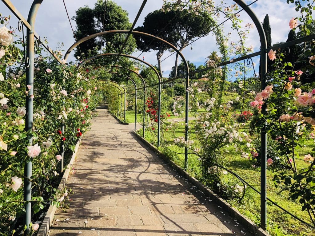 view of the rome rose garden