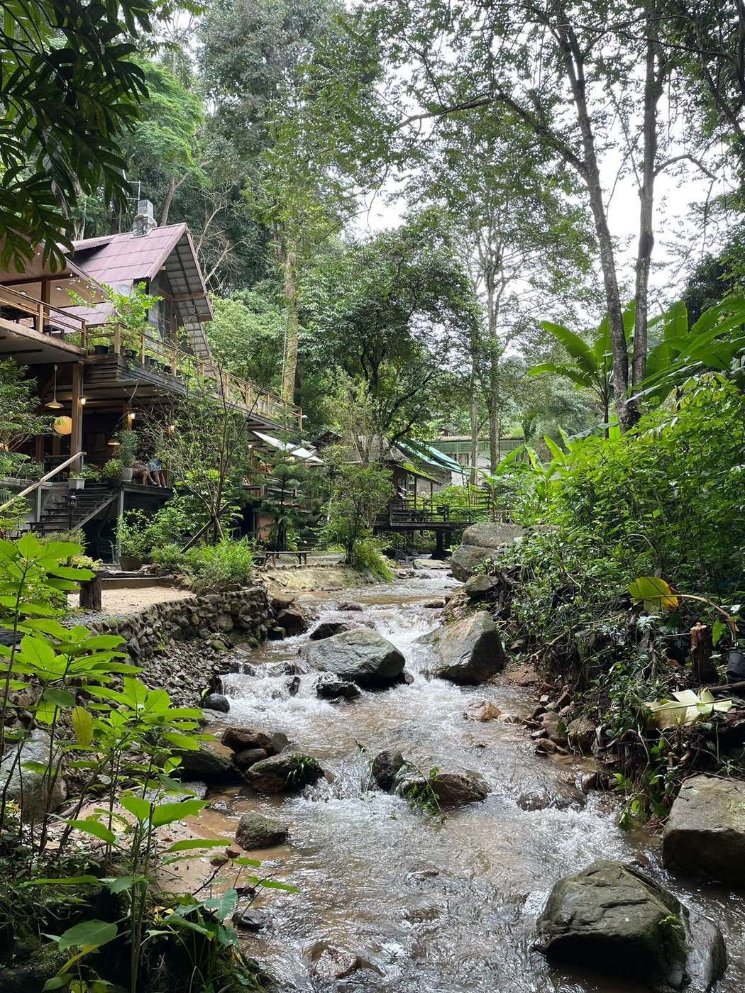 Wooden cafe built over a jungle stream in a village outside Chiang Mai