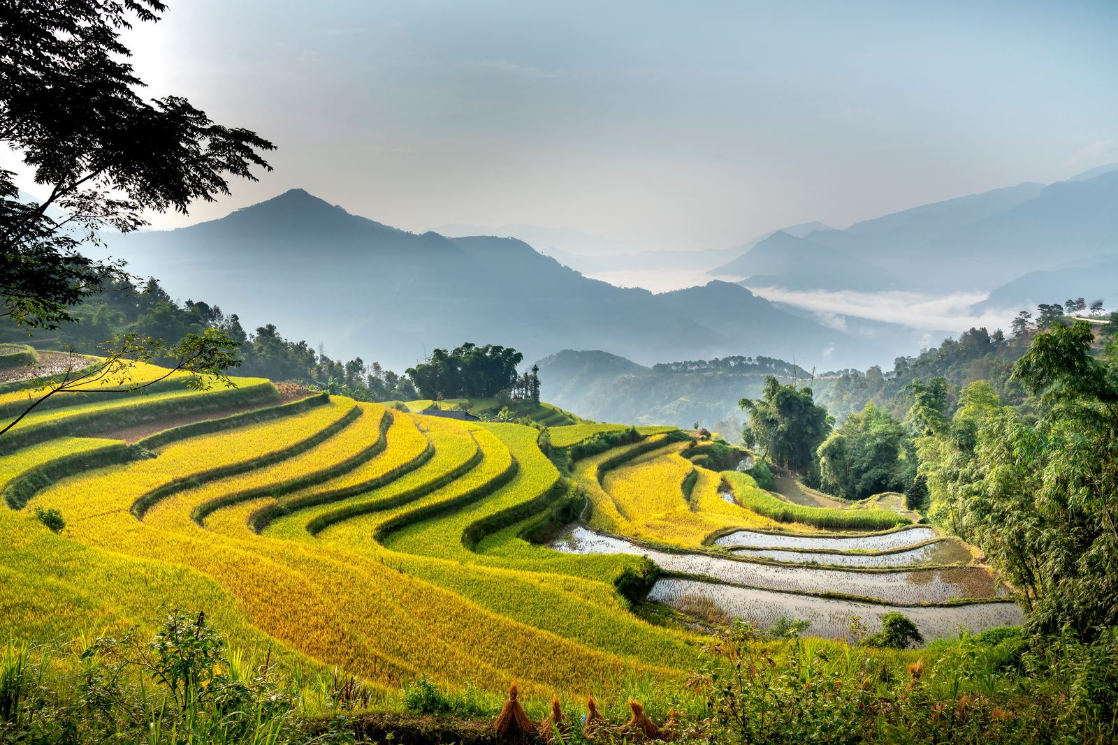 8 Best Places to Study Abroad in Asia: A City-by-City Guide That We’re Obsessing Over Right Now